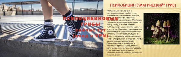 твердый Аркадак
