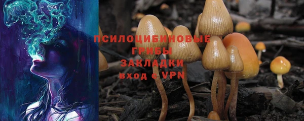 мяу мяу мука Алзамай